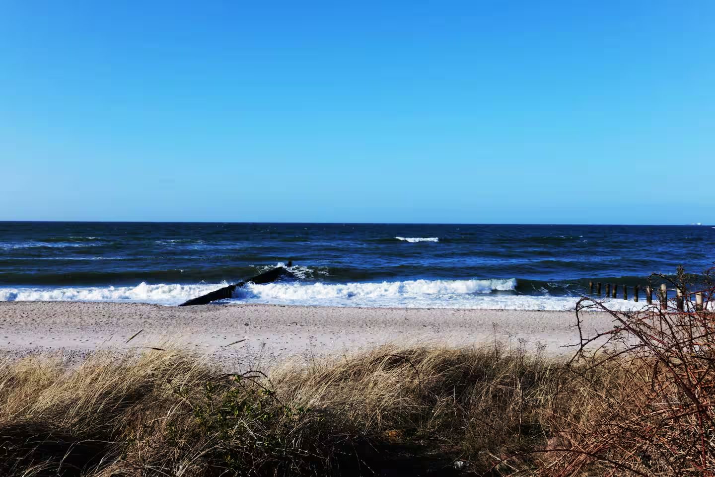 Außenansicht & Strand 3