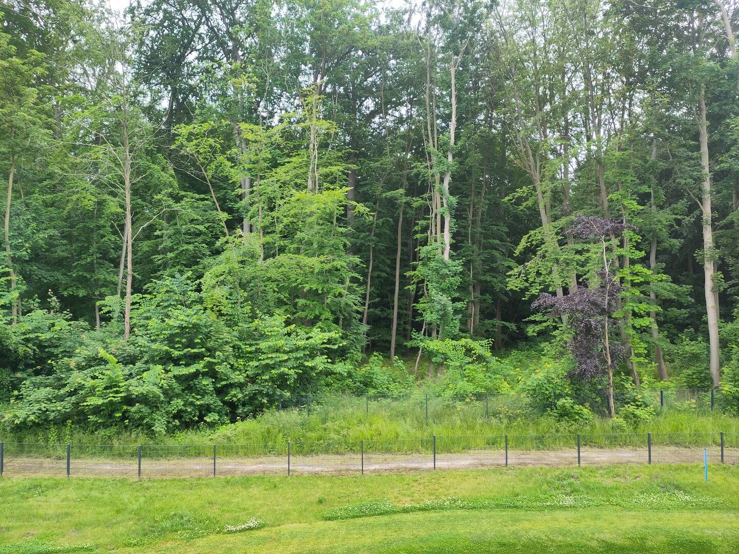 Außenansicht & Strand 6